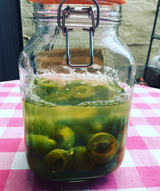 A jar filled with greengage plums and gin.