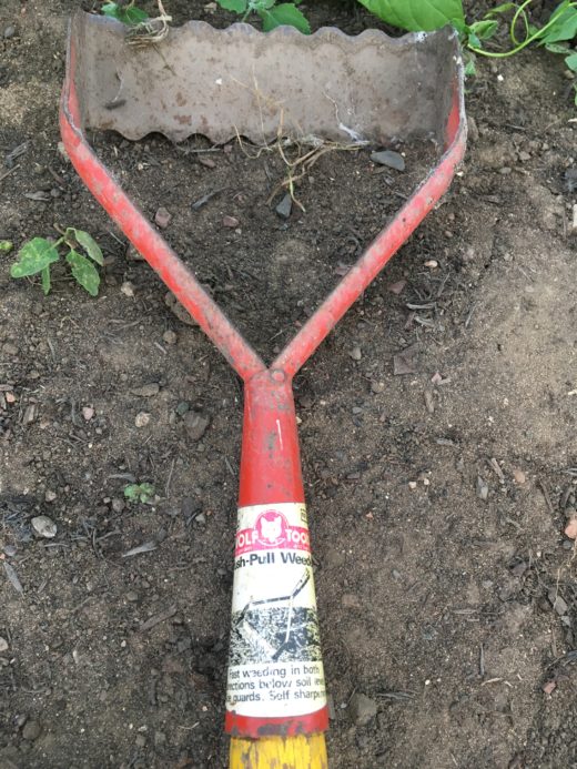 Picture of an old push-pull weeder.